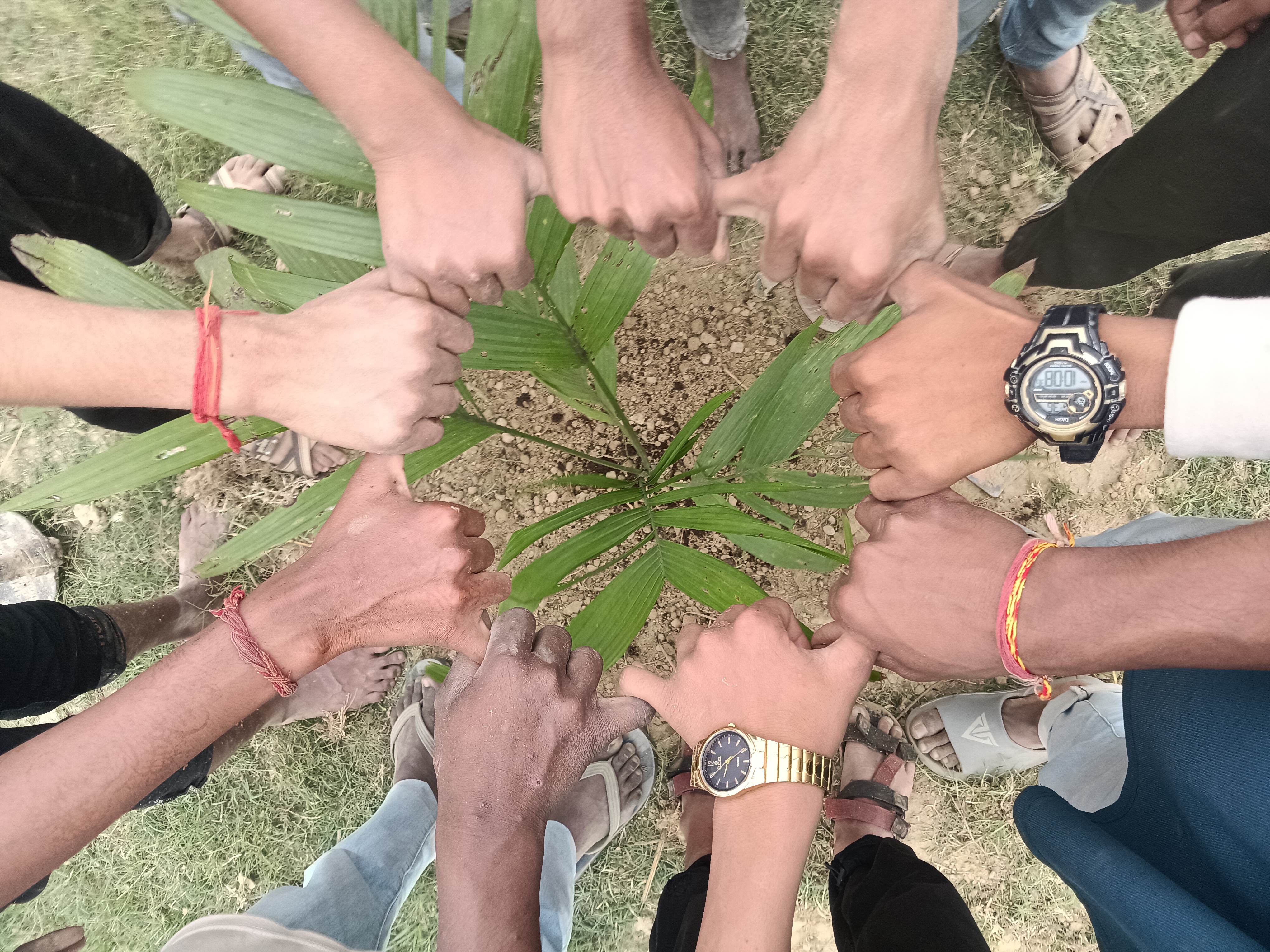 Rohit Yadav